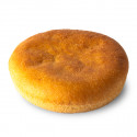 Panino