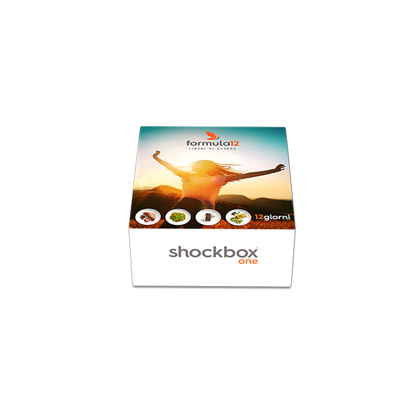 Shockbox One