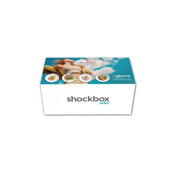 Shockbox Mini