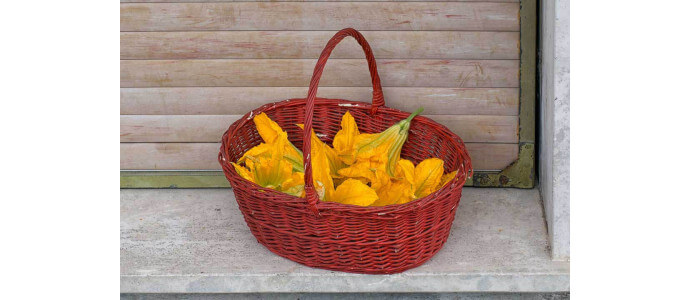 Pasta con fiori di zucca e basilico