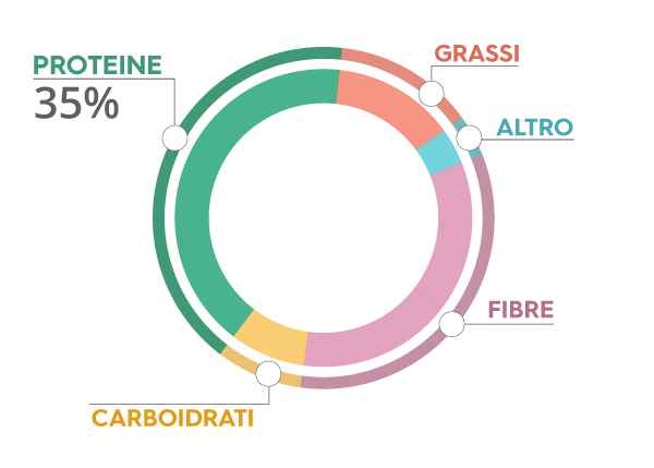 grafico proteine