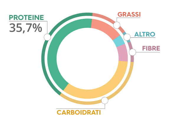 grafico proteine