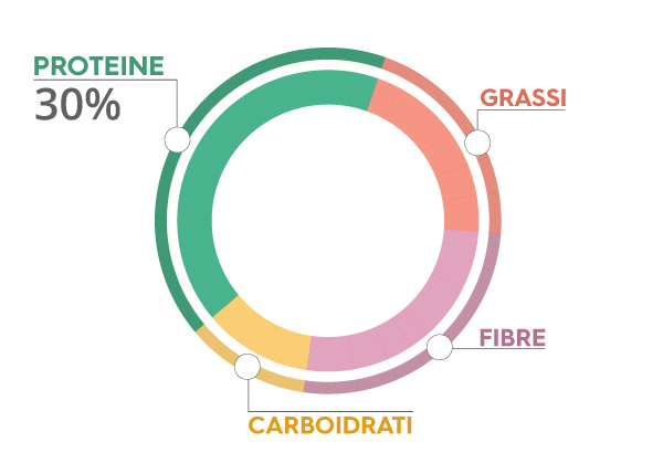 grafico proteine