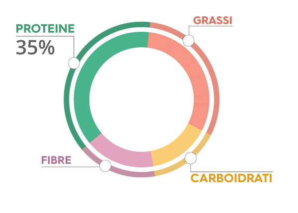 grafico proteine