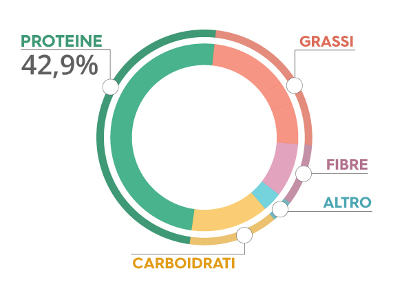 grafico proteine