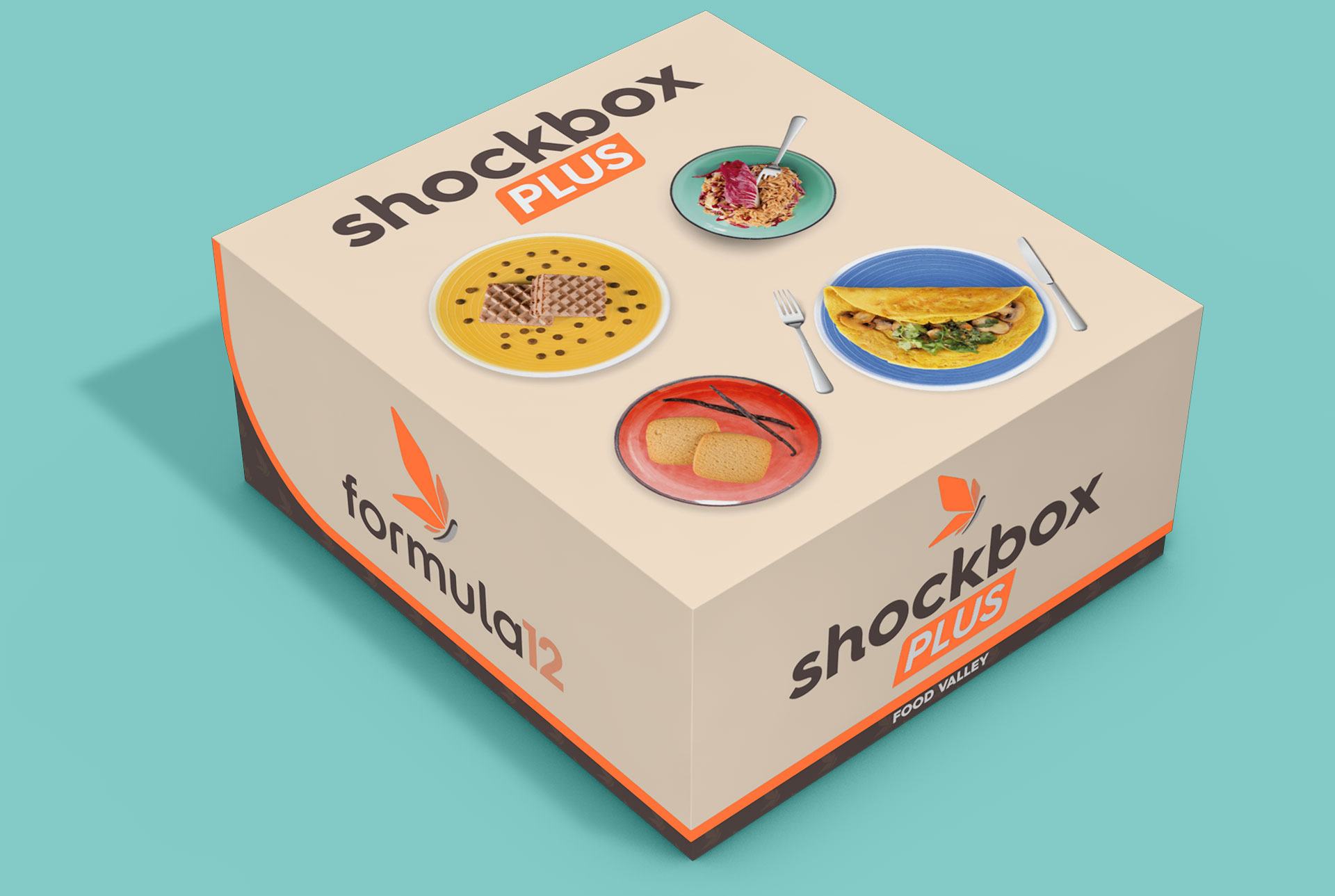ShockBox Plus