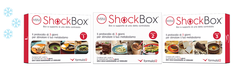Mini Shock Box Winter Edition