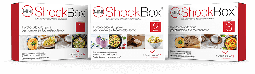 Mini Shock Box