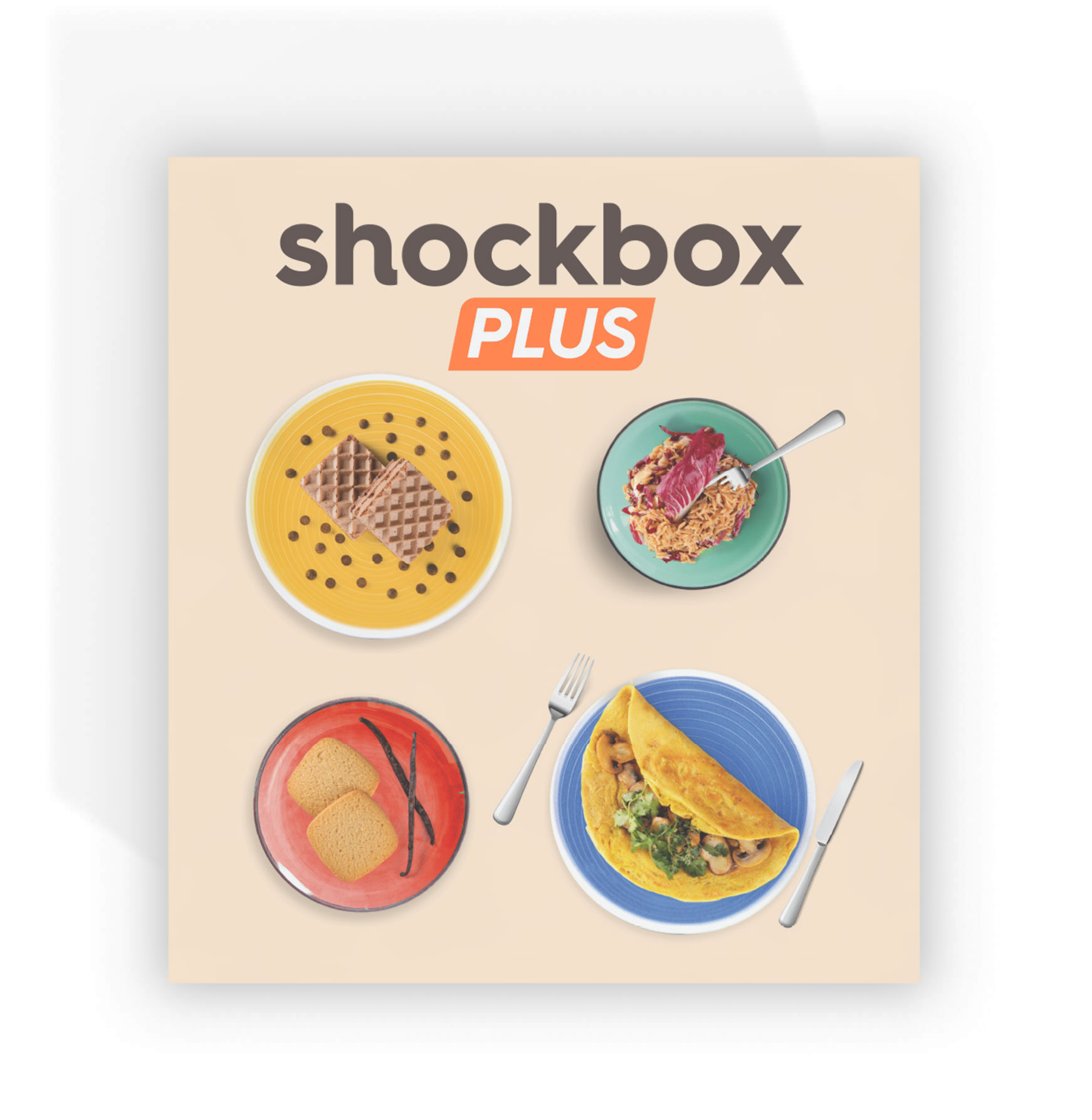 ShockBox Plus