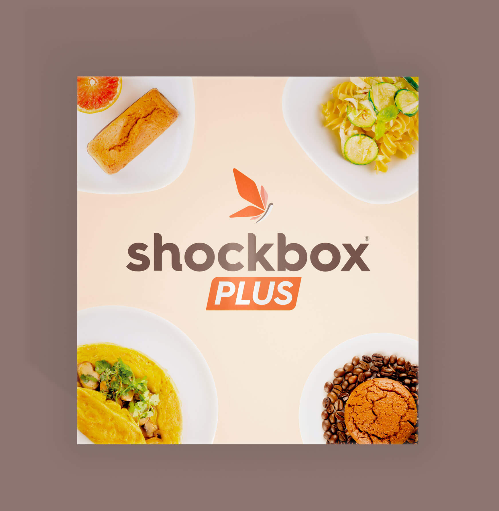 ShockBox Plus