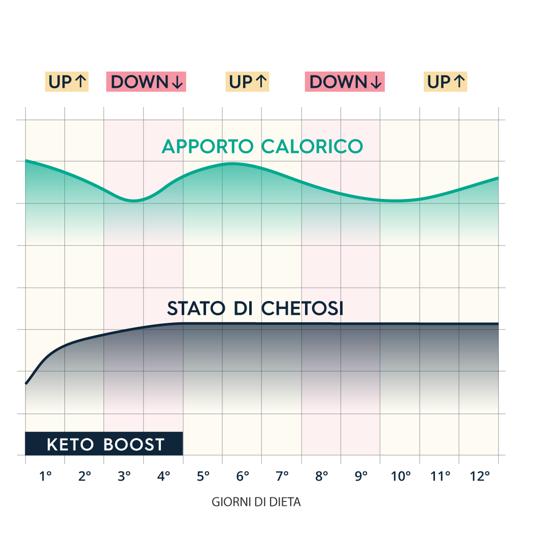 Infografica Keto Boost