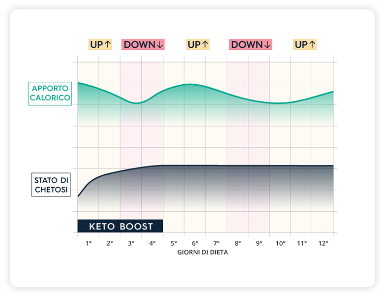 Infografica Keto Boost