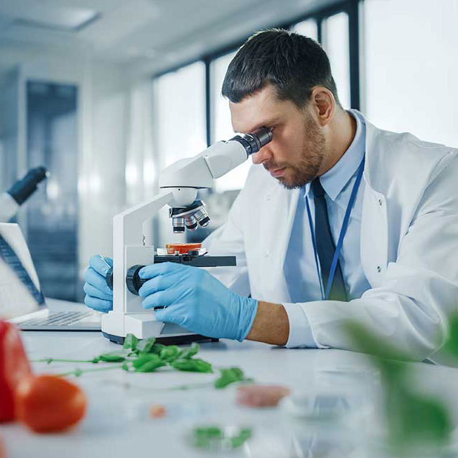 laboratorio