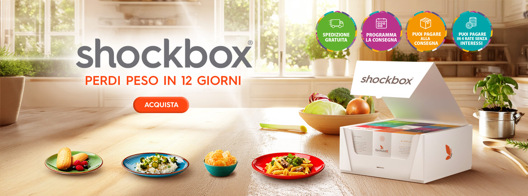 Shockbox 2024