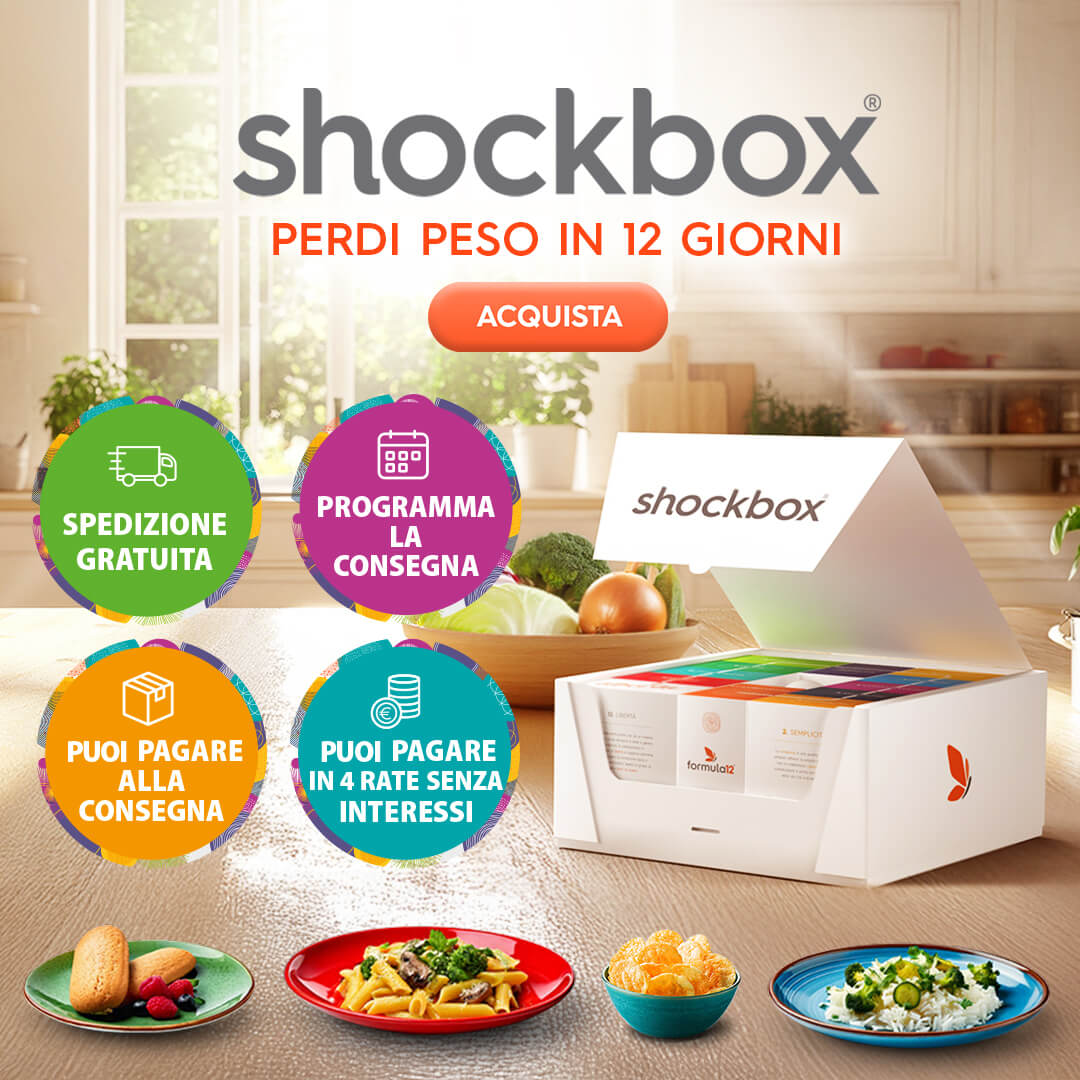 Shockbox 2024