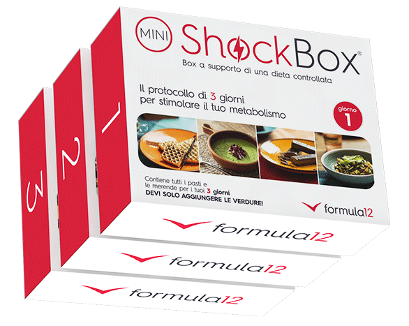Mini Shock Box