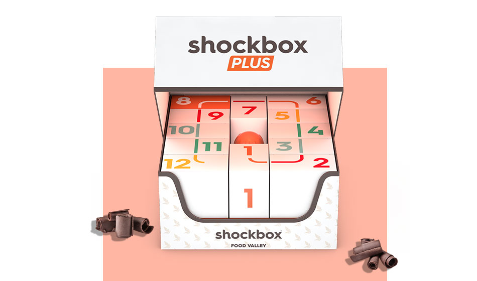 ShockBox Plus astucci